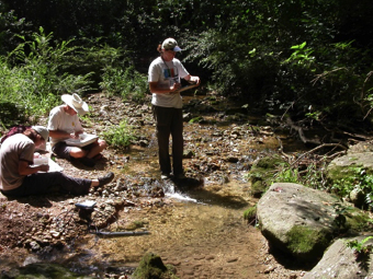 Watershed Protection Department staff surveying a creek.