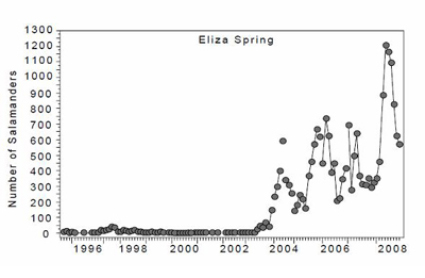 Eliza Springs Data