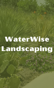 Drought resistant landscape as a backdrop to the WaterWise Landscaping title.